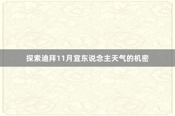 探索迪拜11月宜东说念主天气的机密